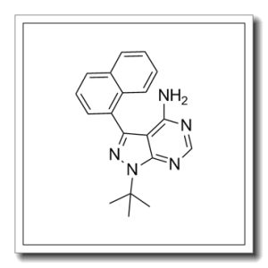 4-氨基-1-叔丁基-3-(1’-萘)吡唑并[3,4-d]嘧啶