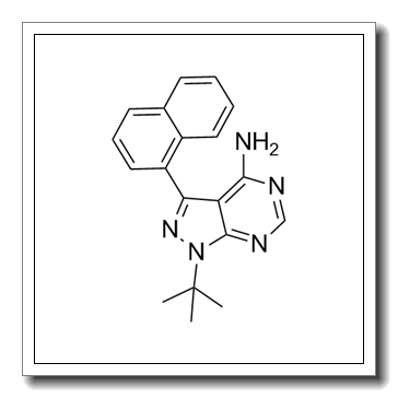 1-na-pp1 CAS 221243-82-9