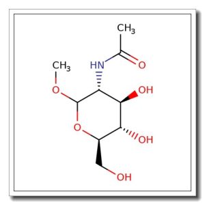 Methyl 2-acetamido-2-deoxy-β-D-galactopyranoside