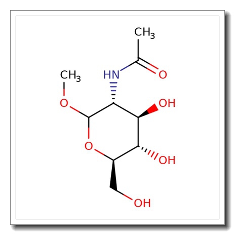 Methyl 2-acetamido-2-deoxy-β-D-galactopyranoside