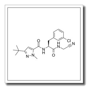 组织蛋白酶抑制剂1