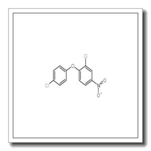 2,4-二氯-4-硝基二苯基醚