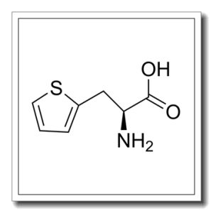 3-(2-噻吩基)-L-丙氨酸
