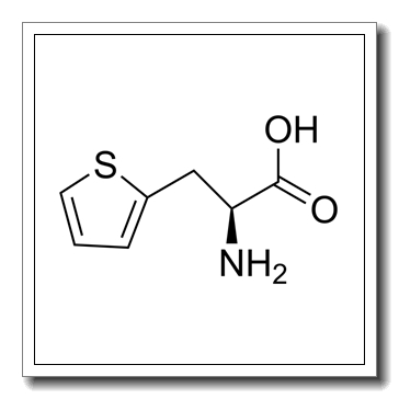 l-2-thienylalanine CAS 22951-96-8