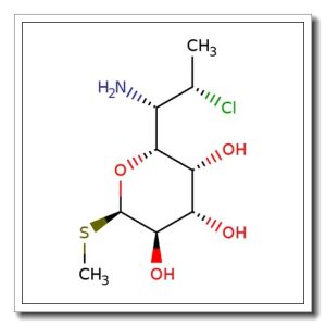 Methyl 7-chloro-7-deoxy-1-thiolincosaminide