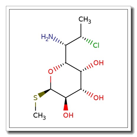 Methyl 7-chloro-7-deoxy-1-thiolincosaminide