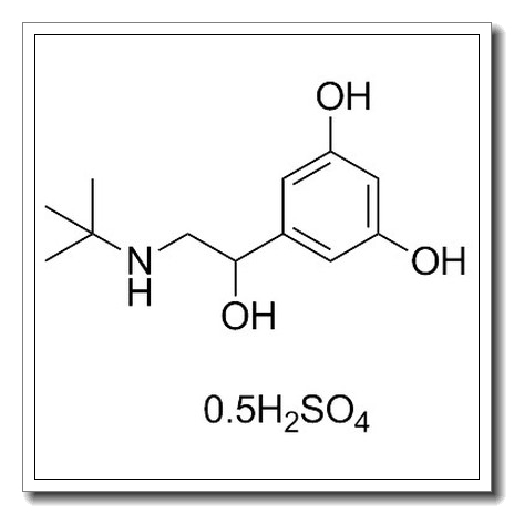 5-[2-(tert-butylamino)-1-hydroxyethyl]benzene-1,3-diol,sulfuric acid CAS 23031-32-5 
