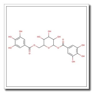 1,6-Di-O-galloyl-b-D-glucopyranose