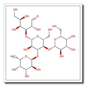Lewis X tetrasaccharide