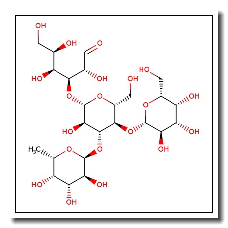 Lewis X tetrasaccharide
