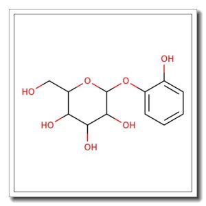 Pyrocatechol monoglucoside