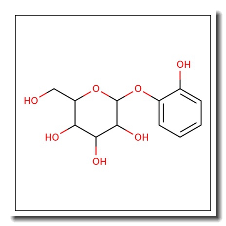 Pyrocatechol monoglucoside