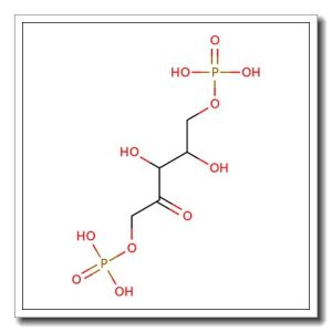 D-Ribulose 5-phosphate