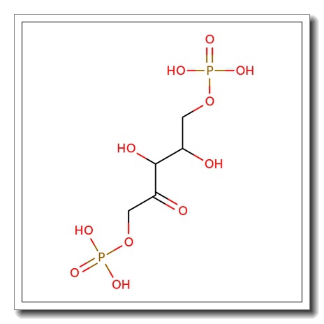 D-Ribulose 5-phosphate