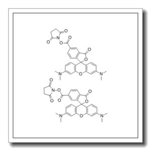 5(6)-羧基四甲基罗丹明琥珀酰亚胺酯