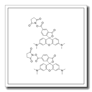 1-({[3',6'-Bis(dimethylamino)-3-oxo-3H-spiro[2-benzofuran-1,9'-xa nthen]-5-yl]carbonyl}oxy)-2,5-pyrrolidinedione CAS 246256-50-8