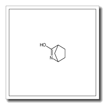 3-azabicyclo[2.2.1]heptan-2-one CAS 24647-29-8
