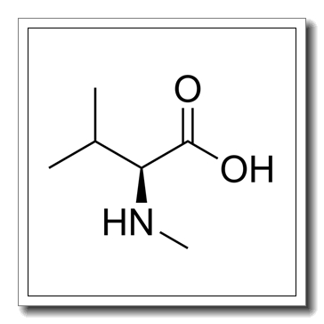 N-methyl-L-valine CAS 2480-23-1