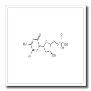 2′-deoxy-5-methyl-5′-cytidylic acid
