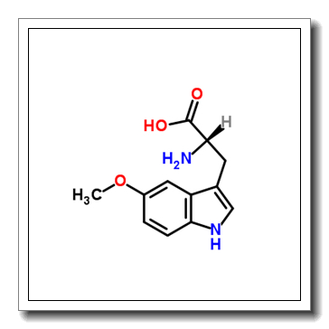 5-methoxy-l-tryptophan CAS 25197-96-0