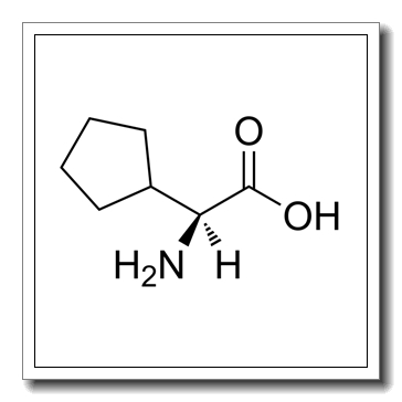 2-Cyclopentyl-L-glycine CAS 2521-84-8