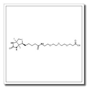 14-Oxo-18-[(3aS,4S,6aR)-2-oxohexahydro-1H-thieno[3,4-d]imidazol-4-yl]-4,7,10-trioxa-13-azaoctadecan-1-oic acid