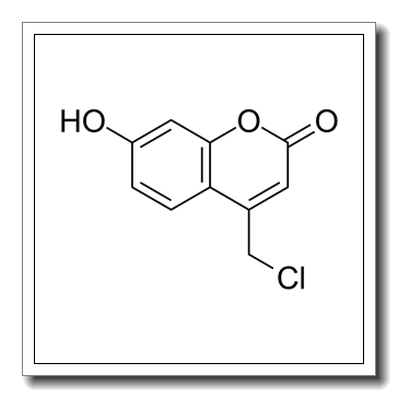 4-(chloromethyl)-7-hydroxychromen-2-one CAS 25392-41-0
