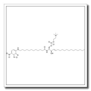 (2S,3R,4E)-3-Hydroxy-2-({12-[(7-nitro-2,1,3-benzoxadiazol-4-yl)amino]dodecanoyl}amino)-4-octadecen-1-yl 2-(trimethylammonio)ethyl phosphate