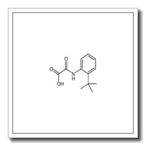 {[2-(2-Methyl-2-propanyl)phenyl]amino}(oxo)acetic acid