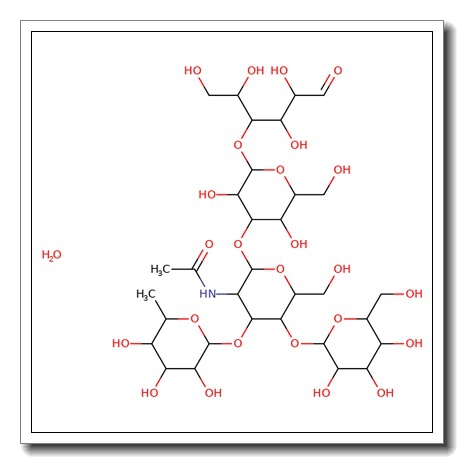 Lacto-N-fucopentaose III-GEL
