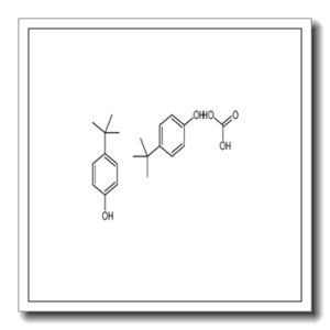 4-tert-butylphenol,carbonic acid