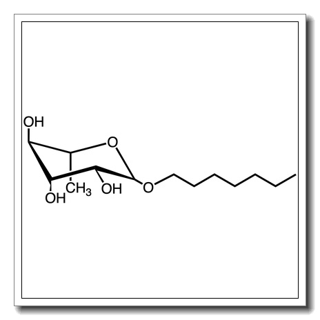 Octyl a-L-rhamnopyranoside