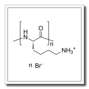 聚-L-赖氨酸 氢溴酸盐