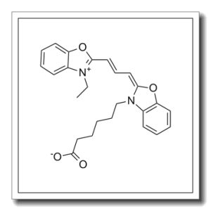 CY2