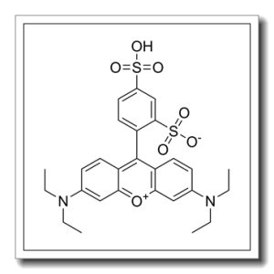 磺酰罗丹明B