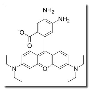 5,6-diamino-3′,6′-bis(diethylamino)spiro[2-benzofuran-3,9′-xanthene]-1-one