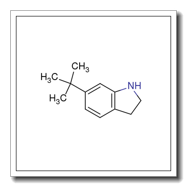 6-tert-butyl-2,3-dihydro-1H-indole CAS 261711-90-4