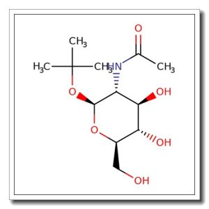 tert-Butyl 2-acetamido-2-deoxy-b-D-glucopyranoside