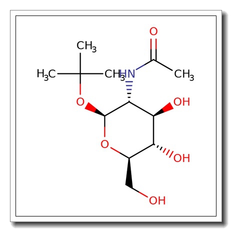 tert-Butyl 2-acetamido-2-deoxy-b-D-glucopyranoside