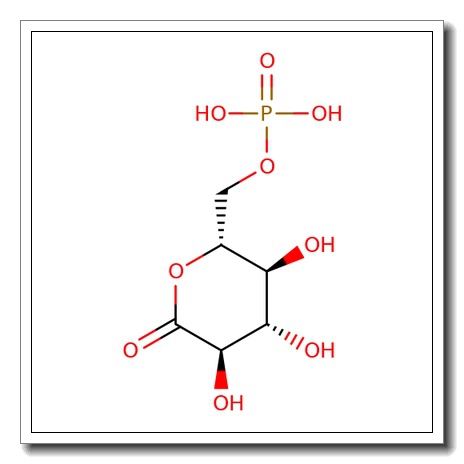 6-Phospho-D-glucono-1,5-lactone