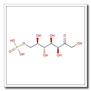 D-Sedoheptulose-2,3,4,5,6,7-13C6