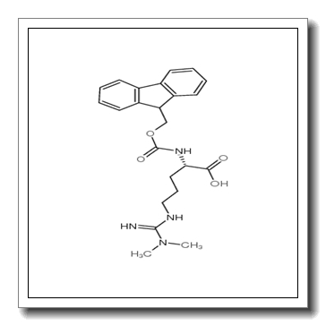 Fmoc-Nw,w-dimethyl-L-arginine CAS 268564-10-9