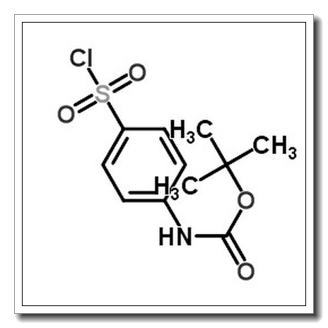 4-(氯磺酰基)苯基氨基甲酸叔丁酯