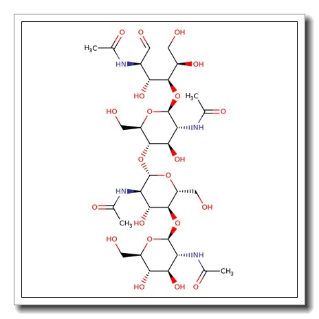 N,N’,N”,N”’-Tetraacetylchitotetraose
