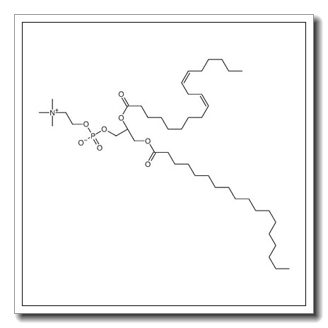 1-octadecanoyl-2-[(9Z,12Z)-octadecadienoyl]-sn-glycero-3-phosphocholine