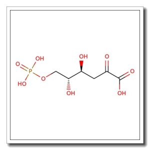 3-Deoxy-2-keto-6-phospho-D-gluconate lithium