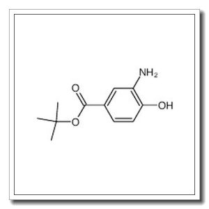 tert-butyl 4-hydroxy-3-aminobenzoate