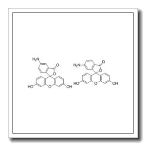 5(6)-氨基荧光素