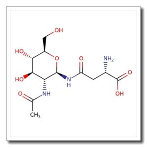 2-Acetamido-2-deoxy-b-D-glucopyranosyl L-asparagine