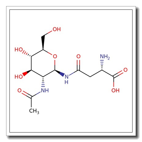 2-Acetamido-2-deoxy-b-D-glucopyranosyl L-asparagine